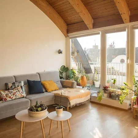 Penthouse + 2 Balconies & Terrace *